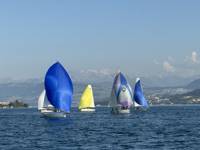 IMG_3930.jpeg