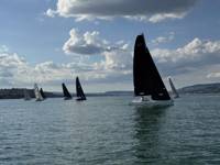 IMG_3992.jpeg