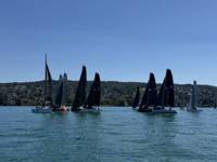 IMG_4016.jpeg