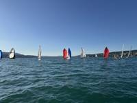 IMG_4031.jpeg